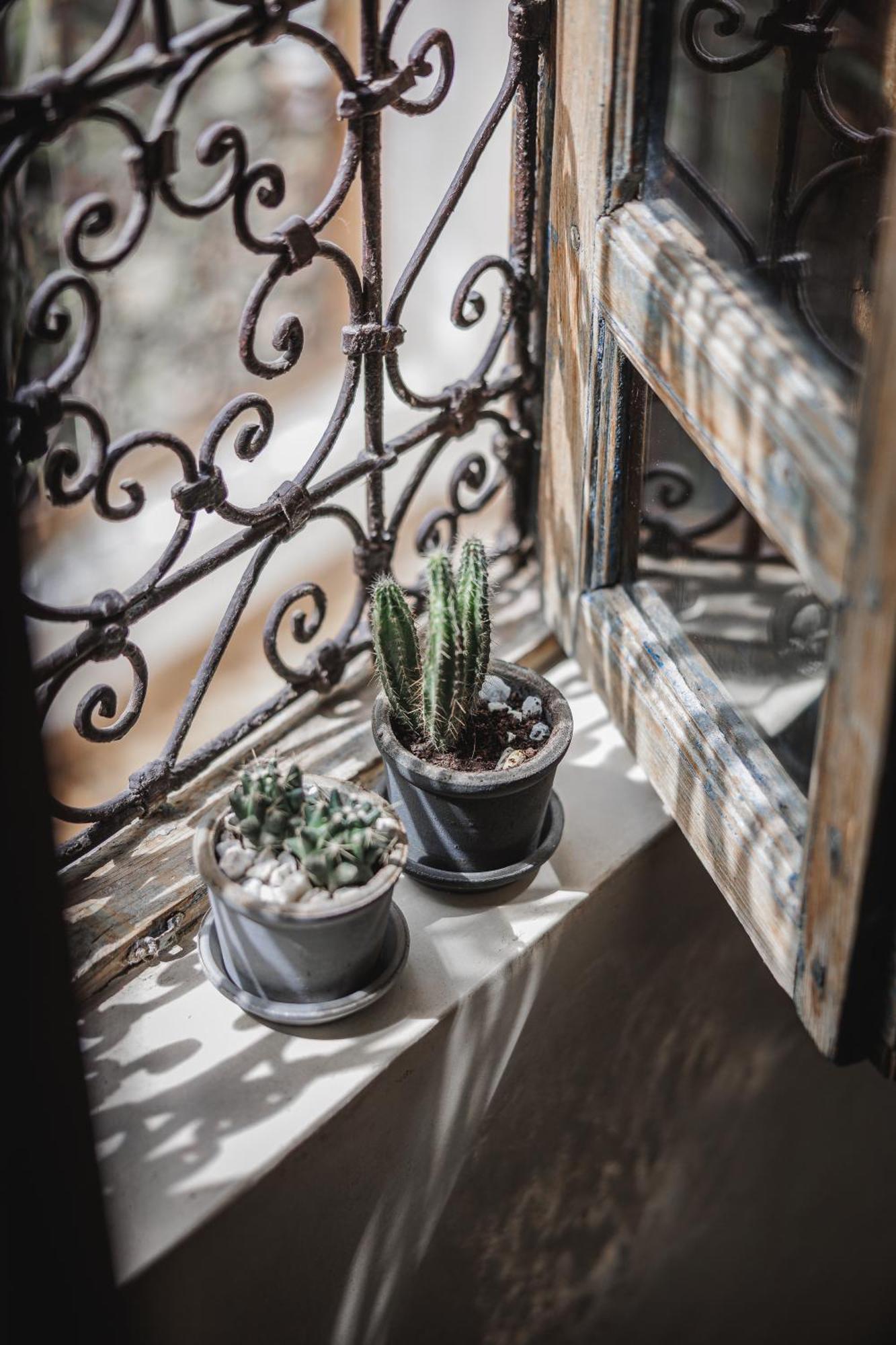 Riad Alkemia En Exclusivite มาร์ราเกช ภายนอก รูปภาพ